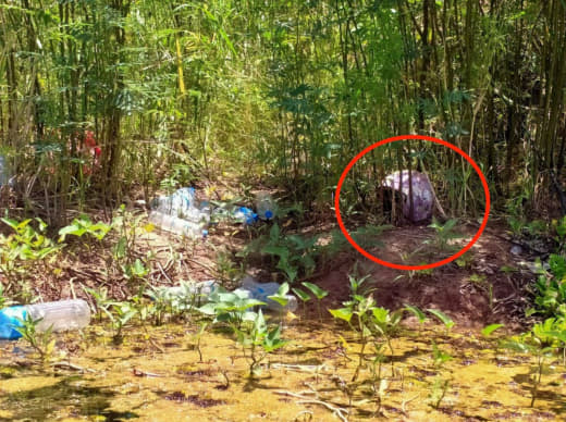 今天中午，金边郊区一池塘中惊现一具浮尸，据柬媒报道，这是一具女性遗体。