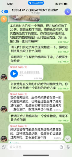 曝光一家宠物医院的不负责任行为，导致猫咪生命危险！