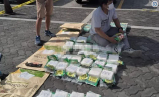 菲律宾缉毒署一月缉获近6亿菲币毒品4500名毒嫌被捕